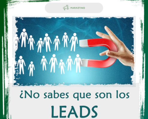 ¿Qué son los leads?